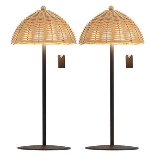 Tilly 12.75" Modern Coastal Indoor/Outdoor Wicker Shade Rechargeable/Cordless Dimmable Integrated LED Table Lamp
