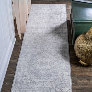 Friv modern Persian Vintage Medallion Area Rug