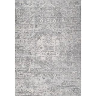 Friv modern Persian Vintage Medallion Area Rug