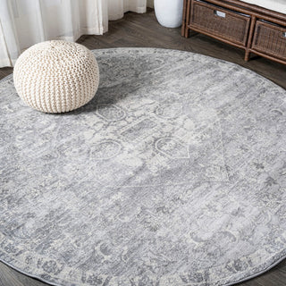 Friv modern Persian Vintage Medallion Area Rug
