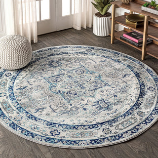 Jerica modern Persian Vintage Medallion Area Rug