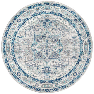 Jerica modern Persian Vintage Medallion Area Rug