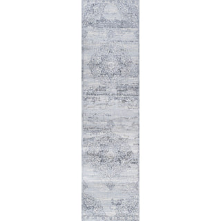 Jerica modern Persian Vintage Medallion Area Rug