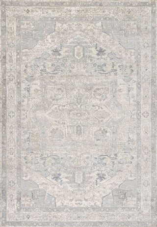 Jerica modern Persian Vintage Medallion Area Rug