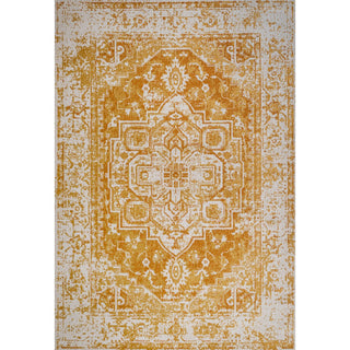 Audrey Ornate Medallion Bohemian Area Rug