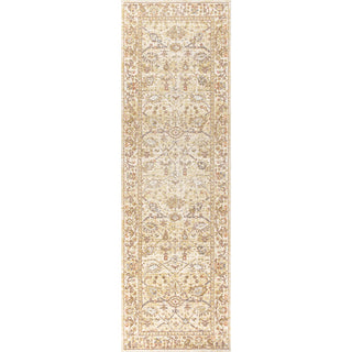 Alba Modern Faded Peshawar Area Rug