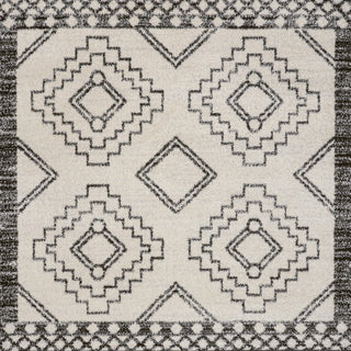 Amir Moroccan Beni Souk Area Rug