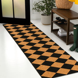 Paige Modern Classic Diamond-patterned Coir Area Rug