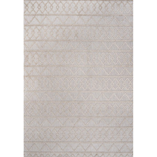 Aylan High-low Pile Knotted Trellis Geometric Indoor/outdoor Area Rug