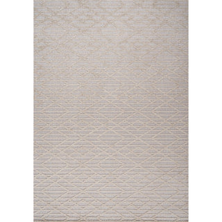 Ararat High-low Pile Moroccan Diamond Modern Indoor/outdoor Area Rug