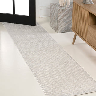 Finn High-Low Modern Minimalist Checkered Monotone Indoor/Outdoor Area Rug