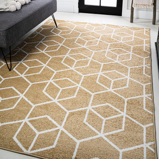 Tumbling Blocks Modern Geometric Area Rug 2