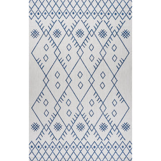 Boho Moroccan Indoor/outdoor Area Rug
