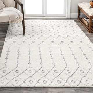 Pia Moroccan Trellis Plush Carved Area Rug