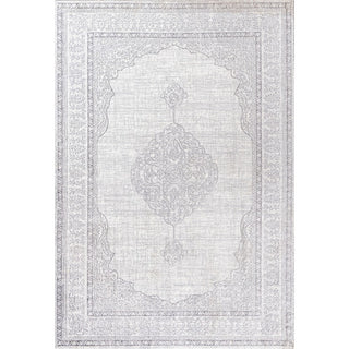 Mughal Ornate Medallion Traditional Area Rug
