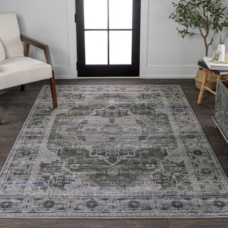 Alanya Ornate Medallion Washable Area Rug