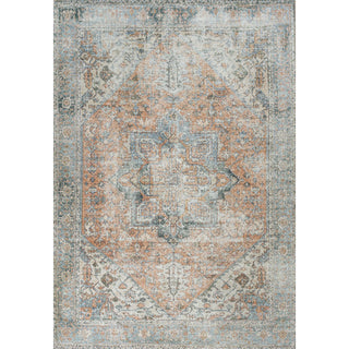 Armae Distressed Medallion Chenille Machine-washable Area Rug