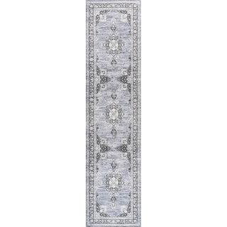 Bausch Bohemian Distressed Chenille Machine-washable Area Rug