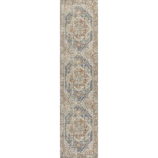 Keesha Bold Distressed Medallion Low-Pile Machine-Washable Area Rug