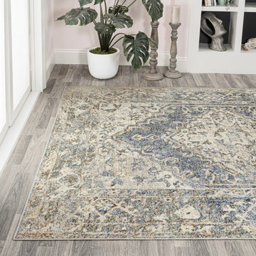 Pavel Distressed Medallion Low-Pile Machine-Washable Area Rug