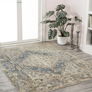 Pavel Distressed Medallion Low-Pile Machine-Washable Area Rug