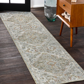 Shaemus Bohemian Medallion Low-Pile Machine-Washable Area Rug