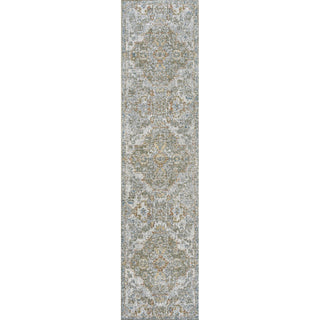 Shaemus Bohemian Medallion Low-Pile Machine-Washable Area Rug