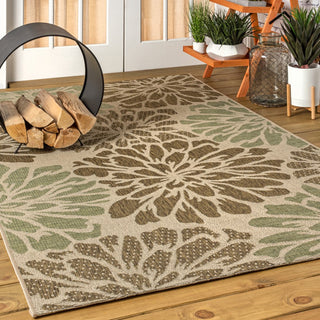 Green Rugs JONATHAN Y