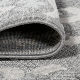 Lucena Modern Medallion High-low Indoor/outdoor Area Rug