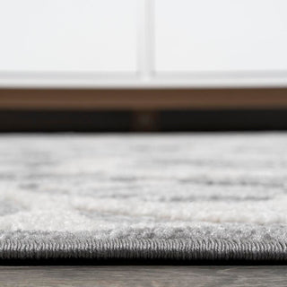 Lucena Modern Medallion High-low Indoor/outdoor Area Rug