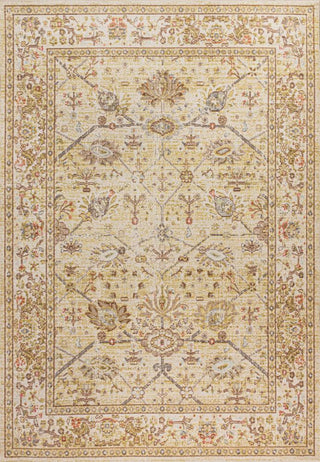 Alba Modern Faded Peshawar Area Rug - JONATHAN Y