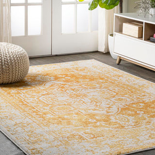 Audrey Ornate Medallion Bohemian Area Rug - JONATHAN Y