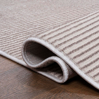 Cole Modern Minimalist Pinstripe High-low Area Rug