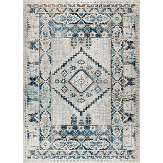 Osuna Diamond Vintage Medallion Area Rug