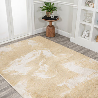 Petalo Abstract Two-tone Modern Area Rug