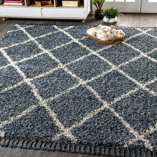 Gabrielle mercer Shag Plush Tassel Moroccan Geometric Trellis Area Rug - JONATHAN Y