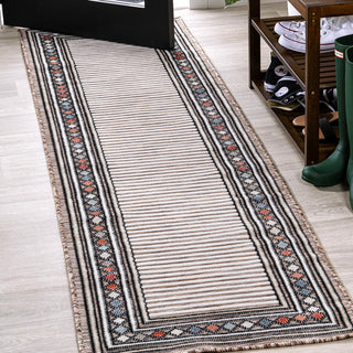 Sebastian High-low Modern Diamond Border Indoor/Outdoor Area Rug