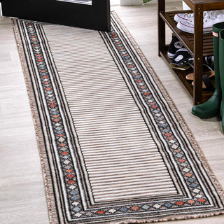 Sebastian High-low Modern Diamond Border Indoor/Outdoor Area Rug - JONATHAN Y