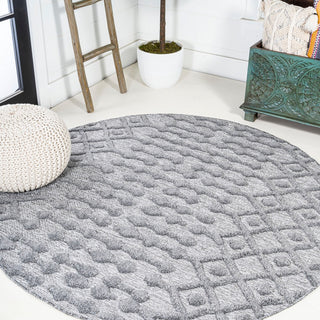 Peralta Moroccan Diamond Indoor/outdoor Area Rug
