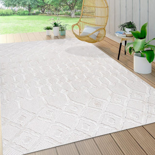 Peralta Moroccan Diamond Indoor/outdoor Area Rug