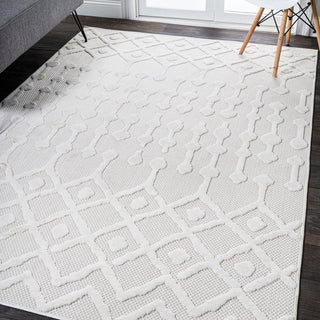 Peralta Moroccan Diamond Indoor/outdoor Area Rug
