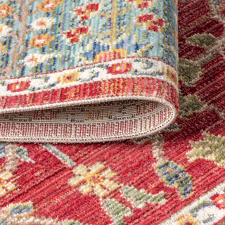 India Flower And Vine Area Rug - JONATHAN Y
