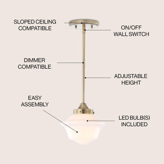 Kurtz School House Adjustable Drop Metal/Glass LED Pendant