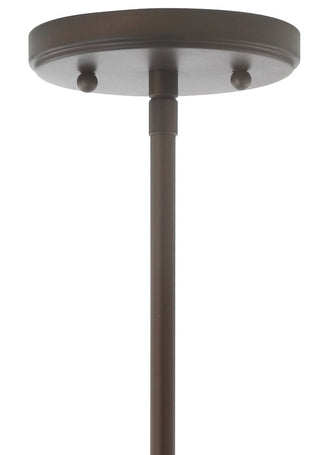 Kurtz School House Adjustable Drop Metal/Glass LED Pendant