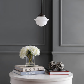 Kurtz School House Adjustable Drop Metal/Glass LED Pendant