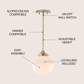 Kurtz School House Adjustable Drop Metal/Glass LED Pendant