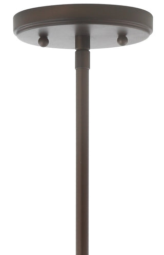 Kurtz School House Adjustable Drop Metal/Glass LED Pendant