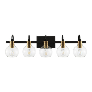 Marais Iron/Glass Rustic Vintage LED Vanity Light