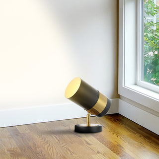 Astra 9.25" Modern Industrial Iron Adjustable Indoor LED Floor Spotlight - JONATHAN Y