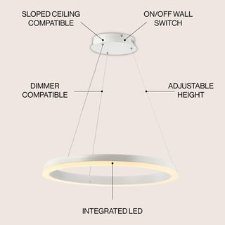 Baxter Modern Contemporary Aluminum Integrated LED Hoop Pendant